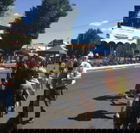 Bunny Bazaar - Sunshine Coast Tourism