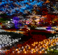 Canberra Nara Candle Festival - Sunshine Coast Tourism
