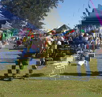 Casino Golf Club Markets - Sunshine Coast Tourism