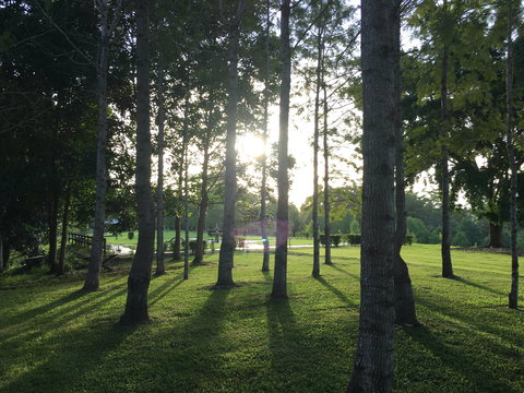 Celebration Outing Special - Sunshine Coast Tourism 0