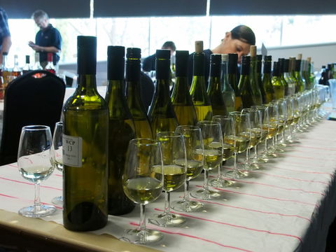 Eltham And District Wine Guild Annual Wine Show - 51st Annual Show - Holiday Sunshine Coast 1