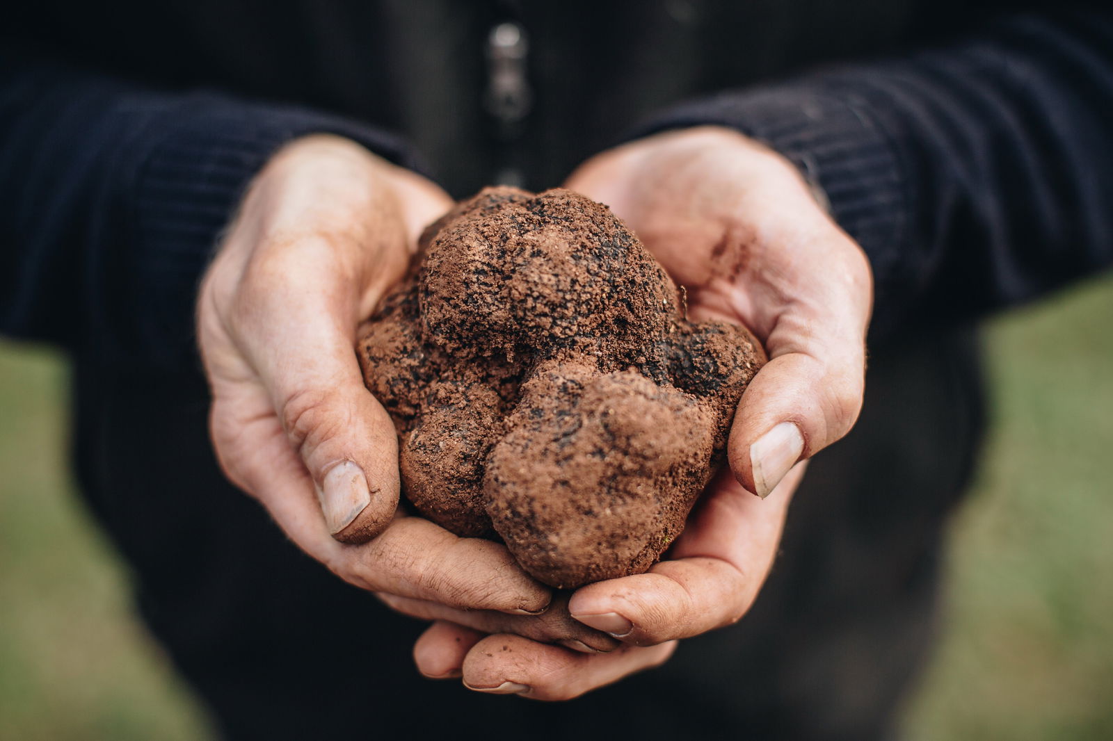 Wattle Flat VIC Holiday Sunshine Coast