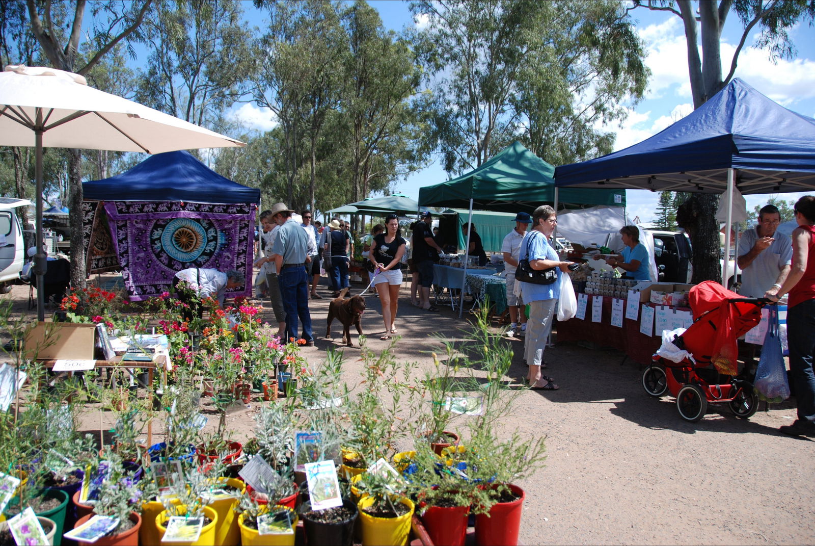 Fernvale QLD Sunshine Coast Tourism