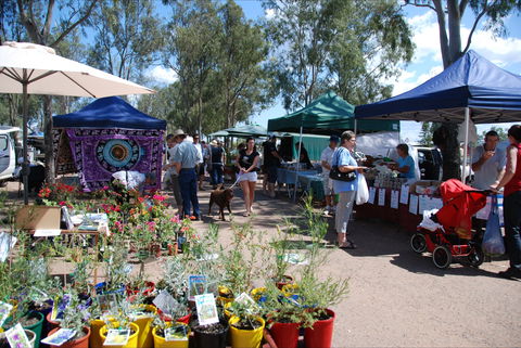 Fernvale Country Markets - Holiday Sunshine Coast 0
