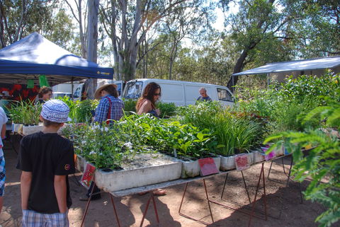 Fernvale Country Markets - Holiday Sunshine Coast 1