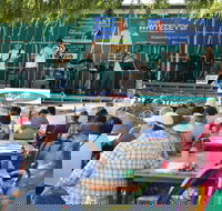 Festival in the Park - Sunshine Coast Tourism