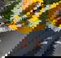 Friday Forage - Holiday Sunshine Coast