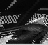 Girrakool Blues Festival and Barbecue - Sunshine Coast Tourism