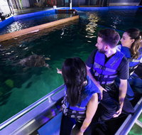 Glass Bottom Boat Tour - Sunshine Coast Tourism