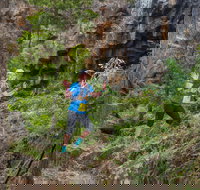 Goldrush Trail Runs - Sunshine Coast Tourism