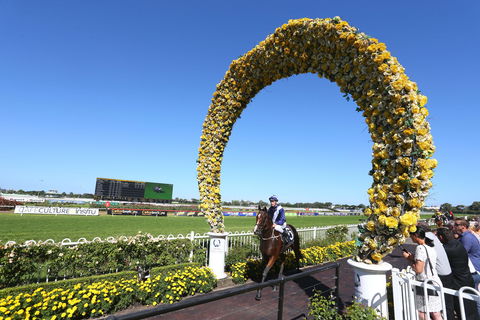 Golden Eagle Day - Sunshine Coast Tourism 2