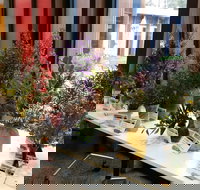 Grampians Wildflower Show - Sunshine Coast Tourism