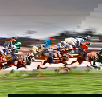Grafton July Racing Carnival - Sunshine Coast Tourism