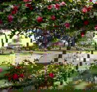 Griffith Spring Fest - Sunshine Coast Tourism