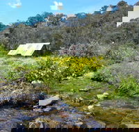 Hedonistic Hiking's Falls Creek to Hotham - Sunshine Coast Tourism