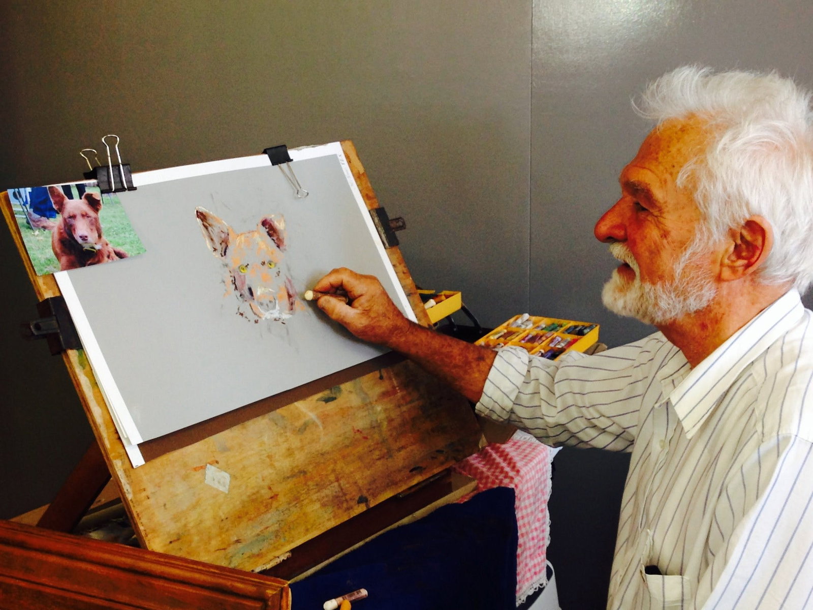 Cressbrook Creek QLD Sunshine Coast Tourism