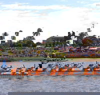 Jacaranda Dragon Boat Races - Sunshine Coast Tourism
