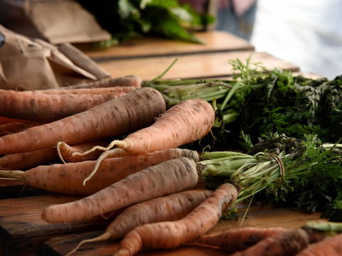 Kiewa Street Market - Holiday Sunshine Coast 2