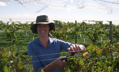 Kingsdale Wines - Cellar Door Wine Tastings - Sunshine Coast Tourism 0
