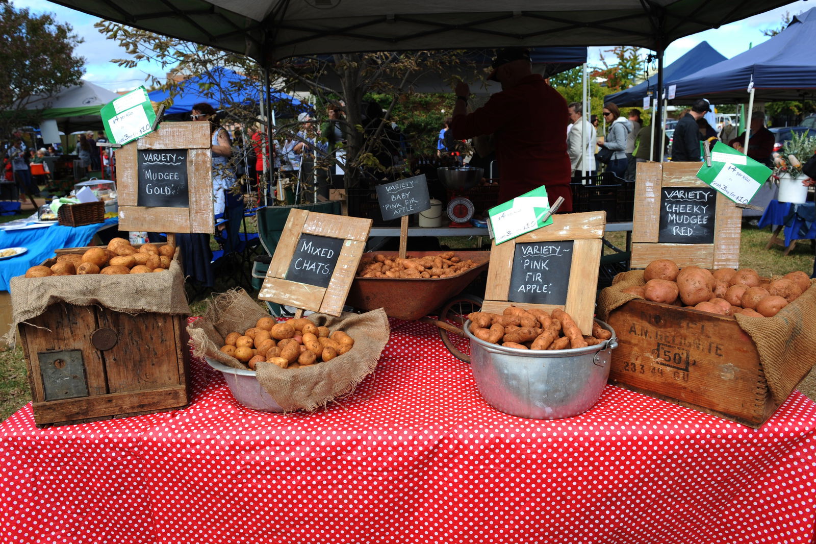 Mudgee NSW Sunshine Coast Tourism