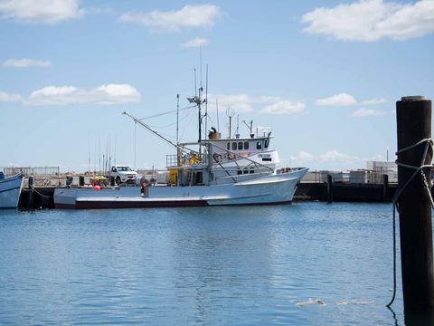 Love Sea Food Port Stephens - Sunshine Coast Tourism 1