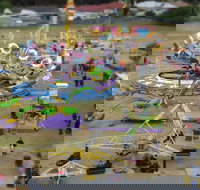 Millicent Agricultural and Horticultural Show - Sunshine Coast Tourism