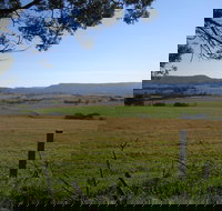 Milton Village Showground Markets - Holiday Sunshine Coast