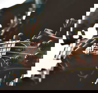 Muso Night - Sunshine Coast Tourism