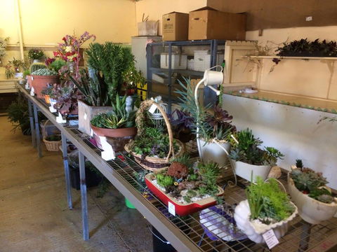 Narrabri Show - Sunshine Coast Tourism 2