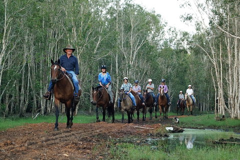 Night Horse Ride And Dinner - Sunshine Coast Tourism 0
