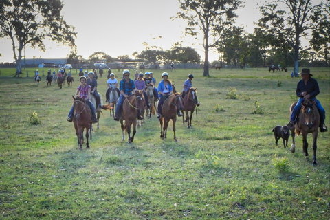 Night Horse Ride And Dinner - Sunshine Coast Tourism 1