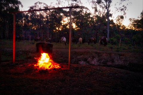 Night Horse Ride And Dinner - Sunshine Coast Tourism 2