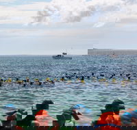Nowra Toyota triHusky Huskisson Triathlon Festival Little Husky - Sunshine Coast Tourism