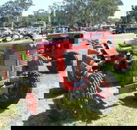 Oil Steam and Kerosene Family Fun Day - Sunshine Coast Tourism