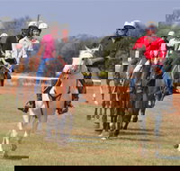 Pride of the West Races 2020 - Sunshine Coast Tourism