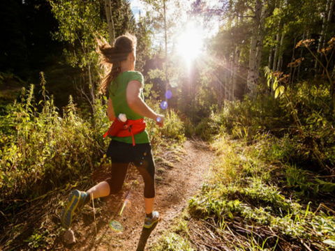 Run Dungog - Sunshine Coast Tourism 0
