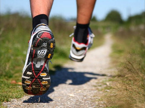 Run Dungog - Sunshine Coast Tourism 1