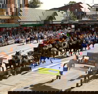 Scone Horse Festival - Sunshine Coast Tourism