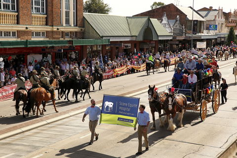 Scone Horse Festival - Sunshine Coast Tourism 0