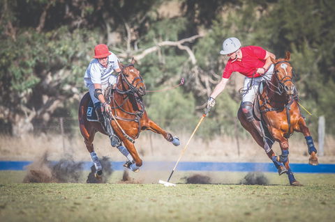 Scone Horse Festival - Sunshine Coast Tourism 1