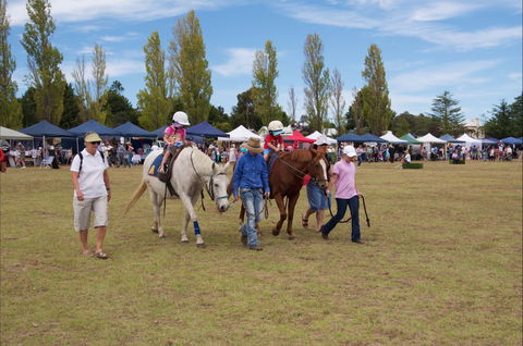 Seasons Of New England Expo - Sunshine Coast Tourism 2