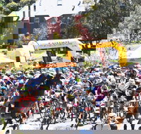 Snowies MTB Festival - Sunshine Coast Tourism