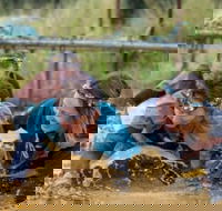 Suck It Up Buttercup Vikings Obstacle Course - Sunshine Coast Tourism