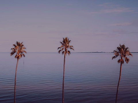 Sunset Streaming Live DJ Streams - Sunshine Coast Tourism 0
