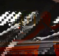 SwanSongs - Ghosts Fools and Seers - Sunshine Coast Tourism