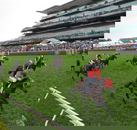 The TAB Everest The Worlds Richest Race On Turf - Sunshine Coast Tourism