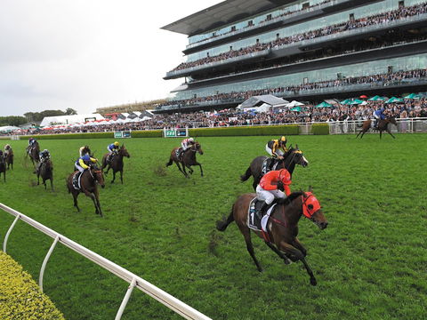 The TAB Everest: The World’s Richest Race On Turf - Sunshine Coast Tourism 0