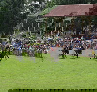 Tumut Derby Day - Sunshine Coast Tourism