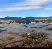 Walk to the Reef - Sunshine Coast Tourism