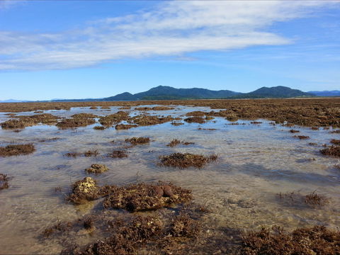 Walk To The Reef - Holiday Sunshine Coast 0